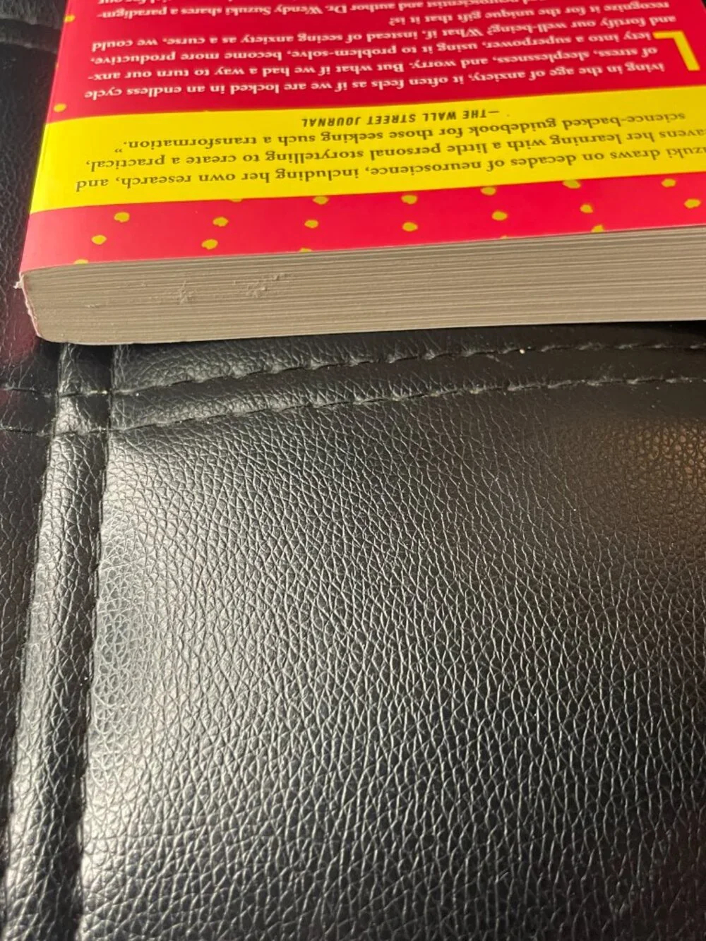Good Anxiety: Harnessing the Power of the Most Misunderstood Emotion Paperback